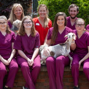 SRTC Celebrates Veterinary Technology Graduates Photo for SRTC Celebrates Veterinary Technology Graduates