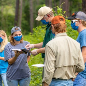 Students to the rescue! How one class is rescuing their forest classroom. Photo for Students to the rescue! How one class is rescuing their forest classroom.