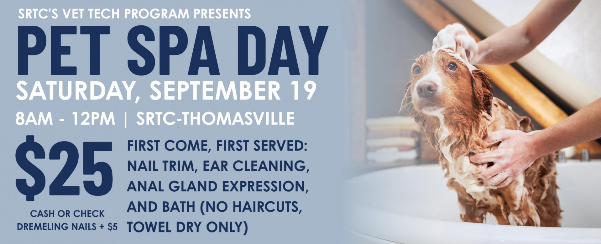 The Vet Tech program presents Pet Spa Day on Saturday June 13 from 8am to 12pm at SRTC-Thomasville. $25 First come, first serve: Bath (no haircuts, towel dry only), nail trim, ear cleaning, anal gland expressing. Accepting cash or check.