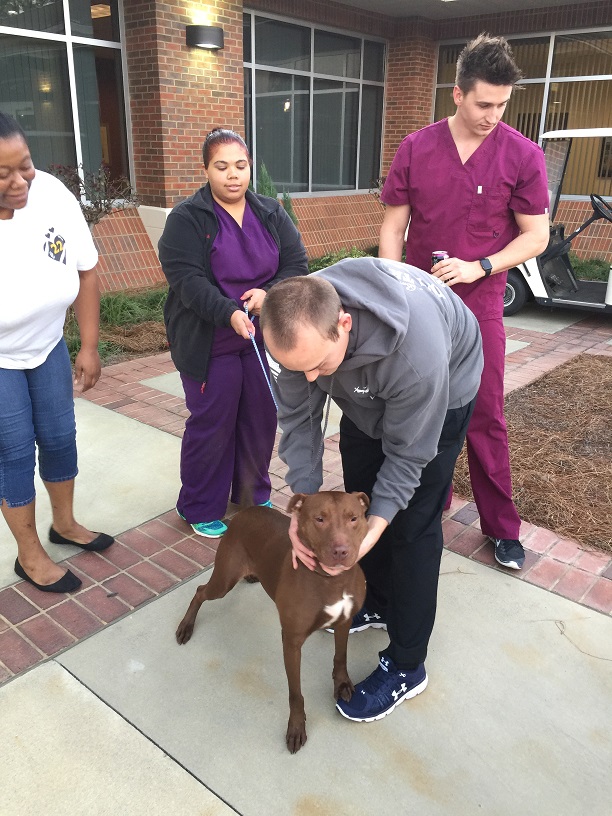 Nursing Students at SRTC Benefit from On-Site Animal Assisted Therapy |  Southern Regional Technical College